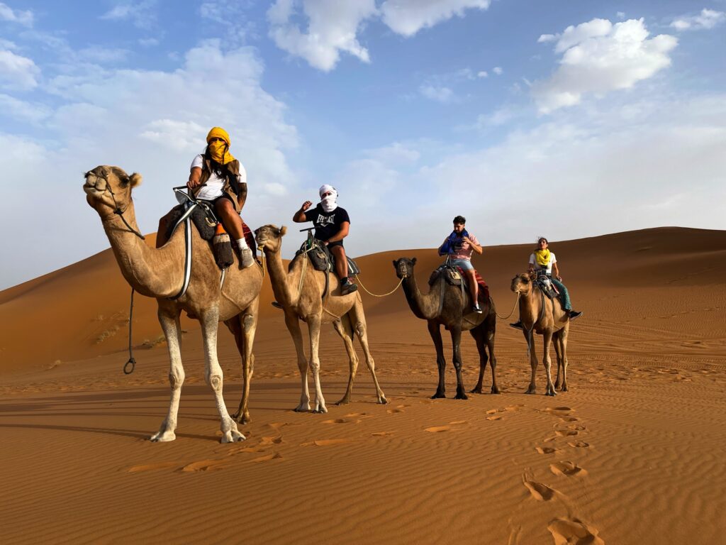 tours from marrakech tours from marrakech